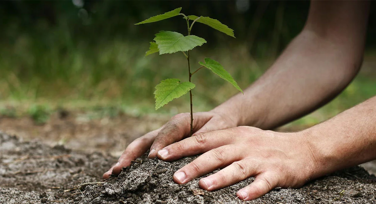 Environmental Responsibility